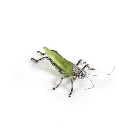 Zodax Green Grasshopper