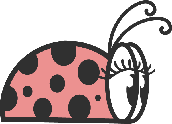 CC the Ladybug